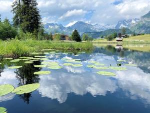 Rietidylle mit atemberaubendem Blick auf die Churfirsten