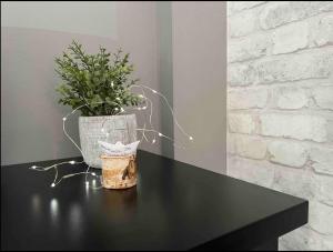 Berretta Loft 1