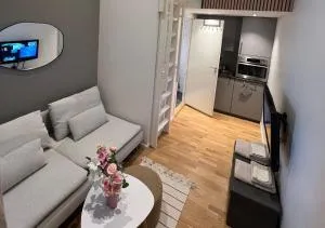 Studio apartment - 苏尔沃伦