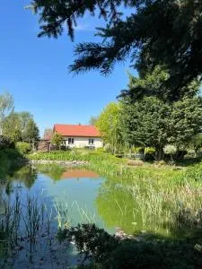 Agroturystyka Smulsko - Przykona