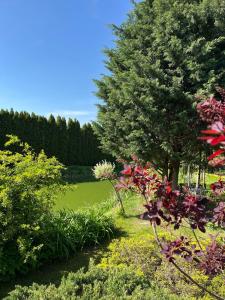 Agroturystyka Smulsko