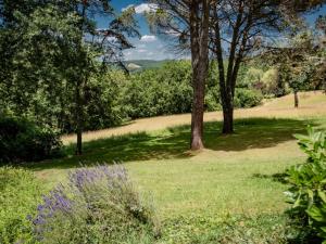Maisons de vacances Vigne Grande : photos des chambres