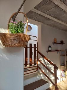 vacanza nel salento1