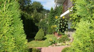 2-pokojowe Apartamenty KAMIL Krynica-Zdrój