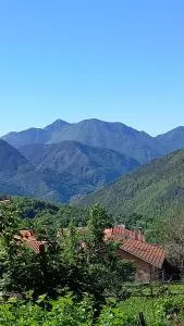 L'Ibrus Blue - 拉博莱讷韦聚比