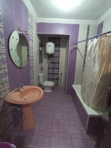 Entirely furnished apartment for rent in Maadi