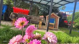 Familienfreundliche Ferienwohnung Eulennest - 格林贝格