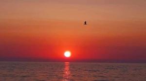 Domus Shardana img30