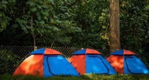 Dandeli Tiger Cottages