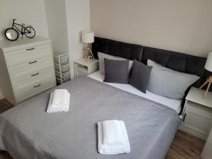 Przytulny apartament - Platan