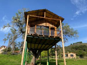 Casa del árbol Amadeus Guatavita