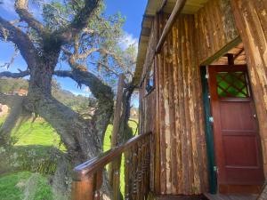 Casa del árbol Amadeus Guatavita