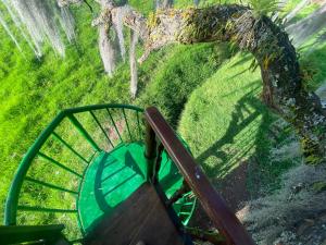 Casa del árbol Amadeus Guatavita