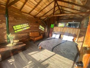 Casa del árbol Amadeus Guatavita