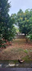 Hospedaria Terapêutica para Mulheres