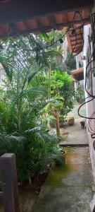 Hospedaria Terapêutica para Mulheres