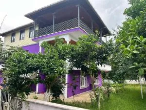 Zenimos Yeşil Doğa Konağı - Cayeli