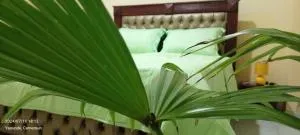 AFRIEUROTEXT Kamerun-High Standing-Appartements-Wifi-Security-Restaurant-modern Kitchen - Zalom