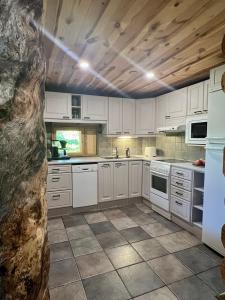 Lapland Log Chalet Cabin Ukko-Kelo Luosto