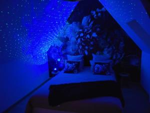 Appartements Fil-Love : Appartement 1 Chambre