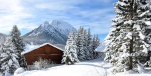 Appartements Residence Ferme D'augustin - Batiment D - Appartement 4/6 personnes - Skis aux pieds MAE-9154 : photos des chambres