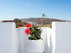 Dafne & Chloe Terrace Studios