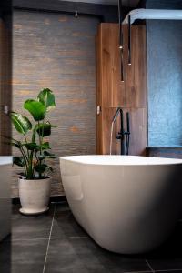 Thome Continental Suite