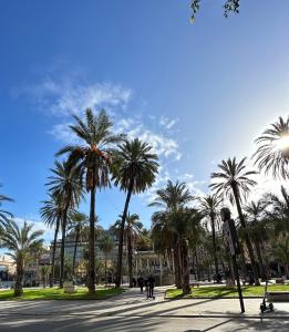 Sabatino Piazza Castelnuovo - Politeama