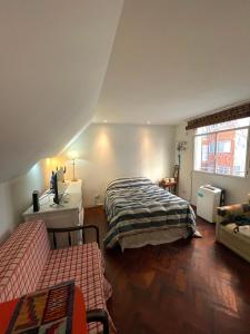 Cozy and trendy studio in Palermo, Las Cañitas 300MB