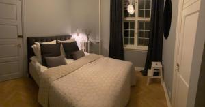 Herskabslejlighed Odense centrum