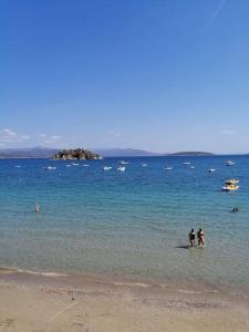 Blue Panorama