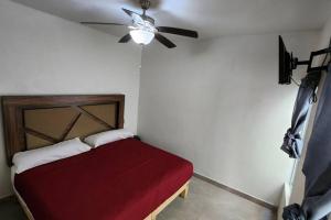 Departamento En Tequila