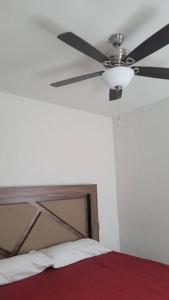 Departamento En Tequila