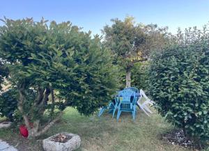 Maisons de vacances Maison de Vacances a Guisseny - Ideal pour Familles et Amis : photos des chambres