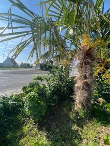 Maisons de vacances Maison de Vacances a Guisseny - Ideal pour Familles et Amis : photos des chambres