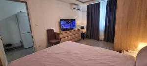 1 Room Apartment Plopeni