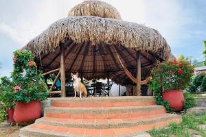 Cabaña de descanso con piscina-San Sebastian House