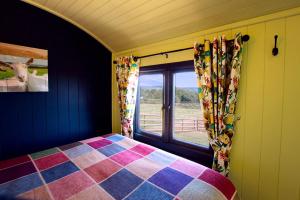 The Gambo Shepherds Hut