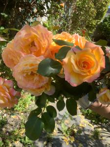 Maison familiale à 10 min du Mont Saint Michel