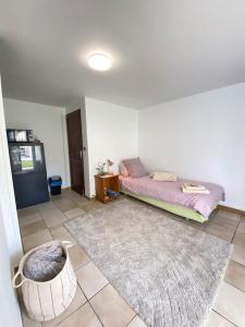 Appartements Studio ESKIA : photos des chambres