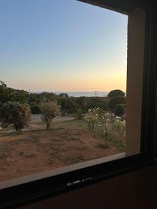 Appartements Appartement vue mer 5 min de la plage : Appartement 1 Chambre