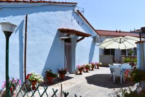 Villino La Perla Azzurra- Marina di Pisa