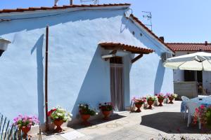 Villino La Perla Azzurra- Marina di Pisa