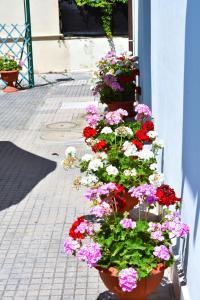 Villino La Perla Azzurra- Marina di Pisa