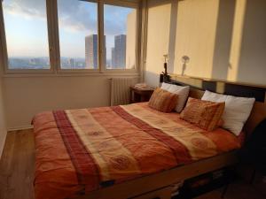 Vue imprenable sur Paris