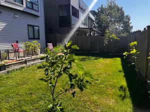 New, Spacious 2 Bedrooms in Downtown With Free Parking!