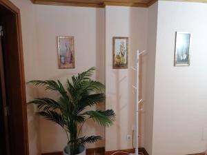 Praia de Mira - Apartamento T2