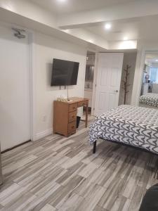 Modern studio with kitchenette and bath