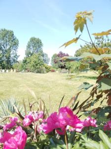 Domaine des Cerisiers