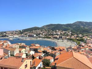 Banyuls-sur-Mer, Appartement Duplex avec Garage - FR-1-309-276